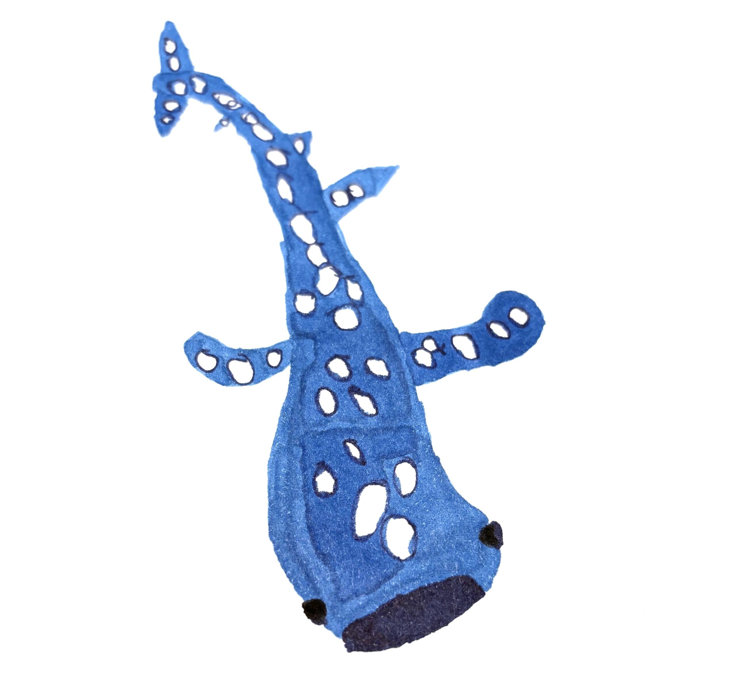 Happy International Whale Shark Day